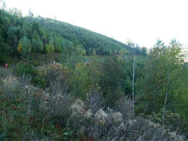 Athleten und Athletinnen 11 km.