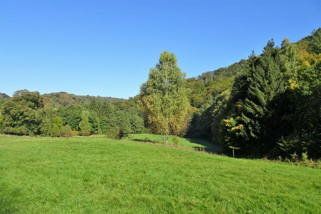 saftige Wiesen im Selketal