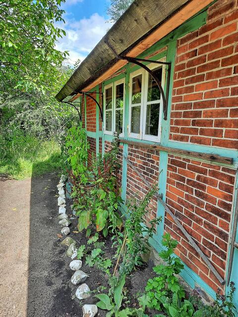 Kräutergarten an der Hauswand