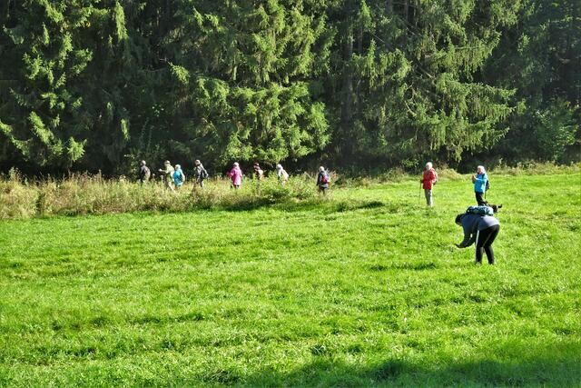 Teil der Wandergruppe auf dem Jörg - Peter Kaschner Weg. Die vielen Herbstzeitlosen auf der Wiese am IV. Friedrichshammer verlockten zum Fotografieren.
