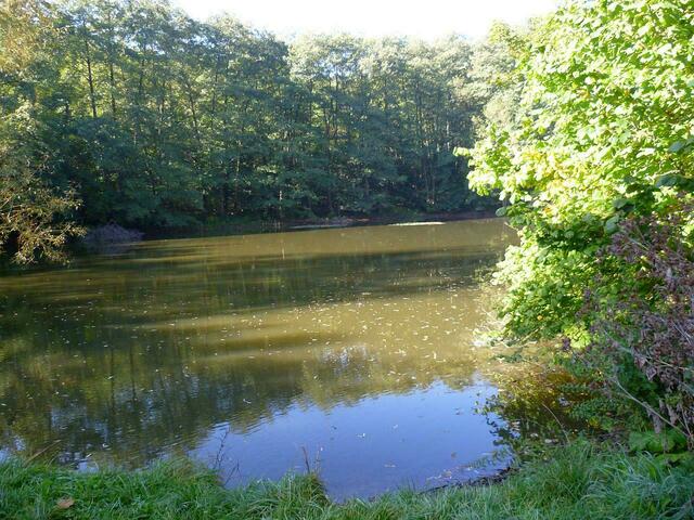 Ein Fischteich (von mehreren) an der Strecke. Angelegt von Mönchen des Klosters Himmelpforte am gleichen Ort. Vor langer Zeit. So etwa im Mittelalter. Heute sind aber nur noch wenige Steine davon übrig.