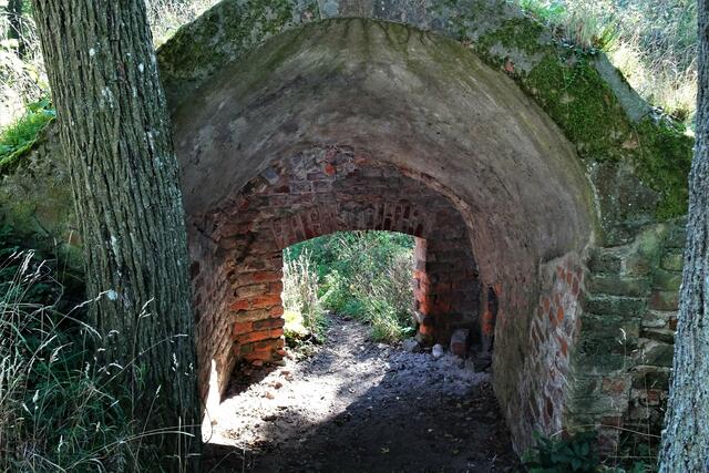 eine Besonderheit auf der Burgruine Anhalt ist, dass bereits  Ziegelsteine verarbeitet wurden. Hier ging es in die Kellergrube eines Nebengebäudes