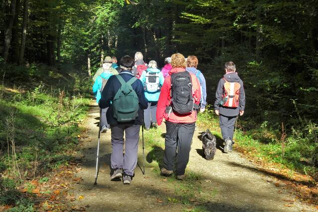 auf dem Weg von Wilhelmshof zum Selketal