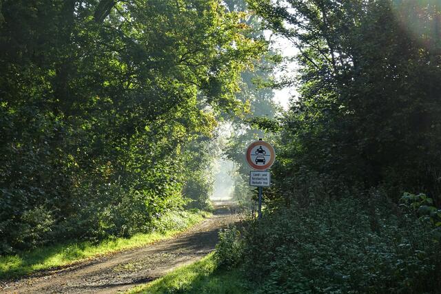 im Selketal herrscht noch Frühnebel