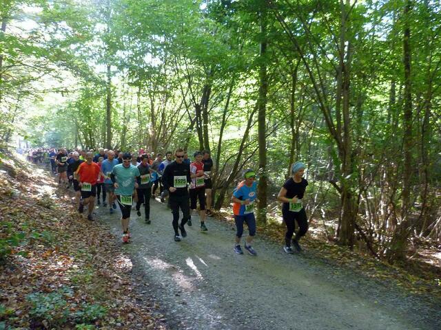 Teilnehmer/innen der 11 Kilometer auf den ersten Metern.