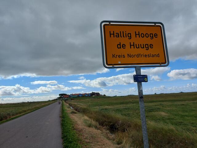 Auf der Hallig Hooge