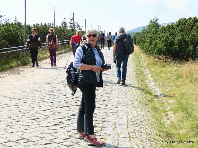 Vor uns liegen 90 Minuten Fußweg bis zum Gipfel!