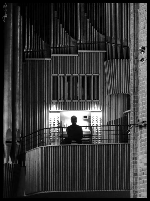 Die Orgel