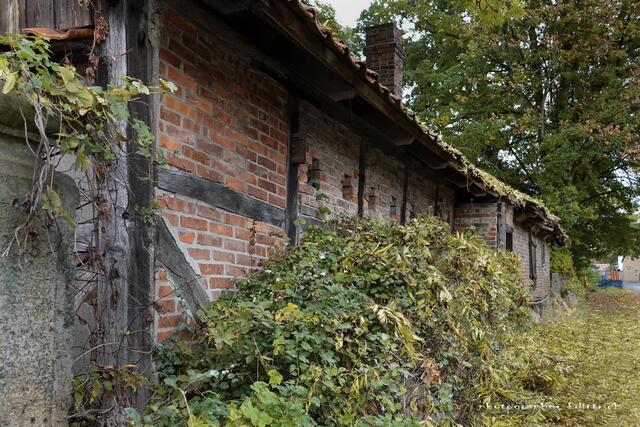 ..das Backhaus - Seitenansicht