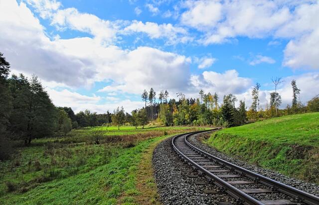 Wiese im Quellgebiet des Wellbaches mit Gleisen der Harzer Schmalspurbahn