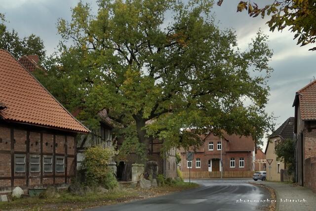 Ziegeleistraße