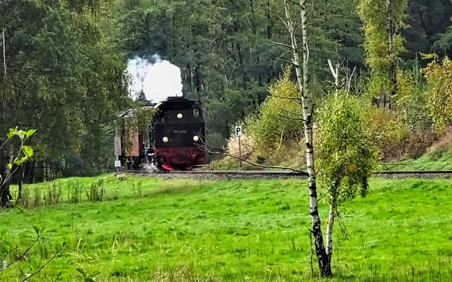 Selketalbahn auf dem Weg zum Haltepunkt Sternhaus -Haferfeld
