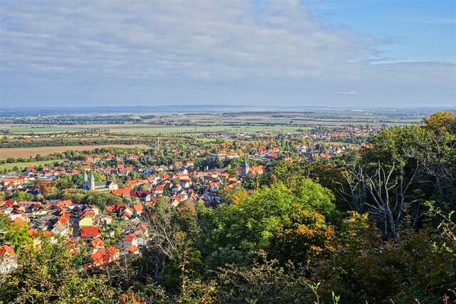 Blick vom Försterblick über Gernrode, am Berghang sind schon viele Laubbäume aufgrund der Trockenheit eingegangen