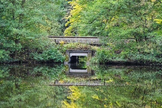 Spiegelung im Heiligen Teich, über dem Durchlass verlaufen die Gleise der Harzer Schmalspurbahn