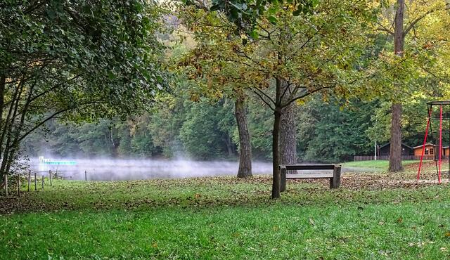 aufsteigender Morgennebel am Osterteich