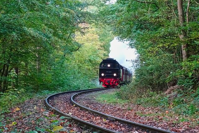 die Selketalbahn kommt vom Haltepunkt Sternhaus - Haferfeld