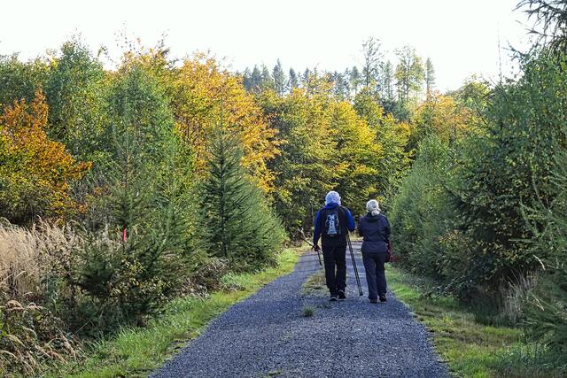 auf dem Weg von Haferfeld zum Haltepunkt der Selketalbahn Sternhaus - Haferfeld.