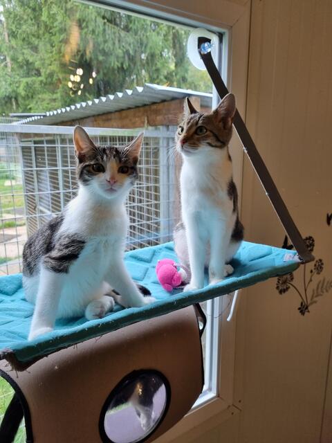 Lieselotte und Marlene