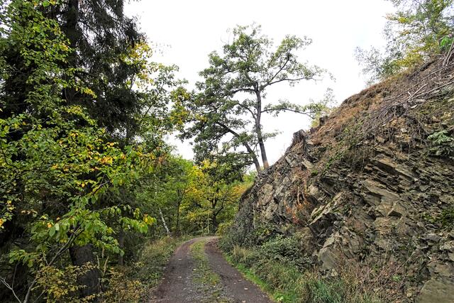 im Ostergrund