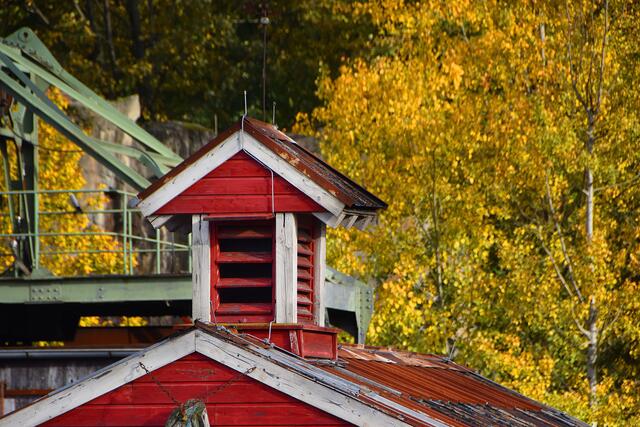 Im Erlebniszoo Hannover wird es wieder herbstlich bunt.