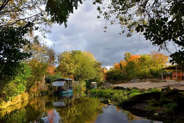 Im Erlebniszoo Hannover wird es wieder herbstlich bunt.