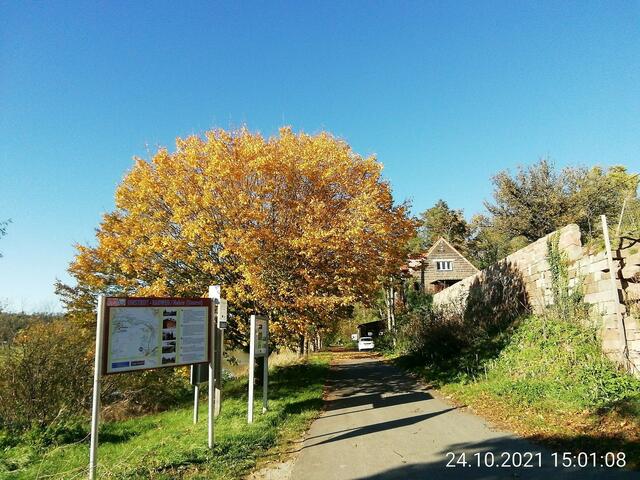 Herbstspaziergang mit O'Brain am 24.10.2021 !