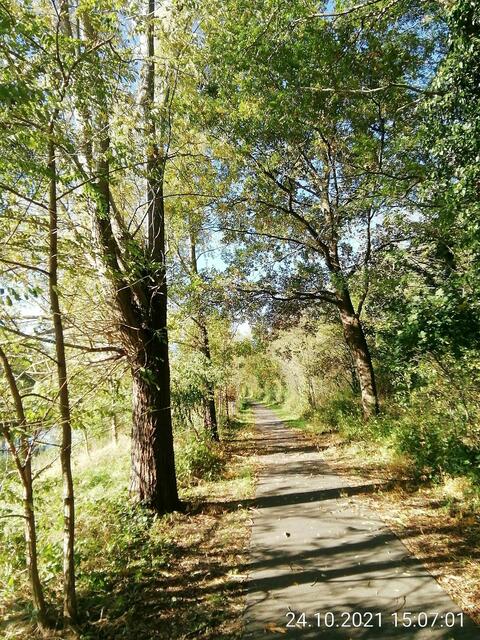 Herbstspaziergang mit O'Brain am 24.10.2021 !