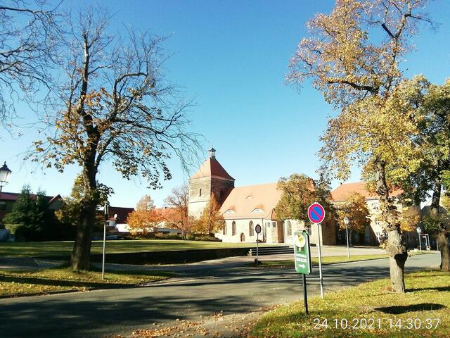 Kirche Nebra ohne Zunftbaum der dem Sturmzum Opfer gefallen ist Herbstspaziergang mit O'Brain am 24.10.2021 !
