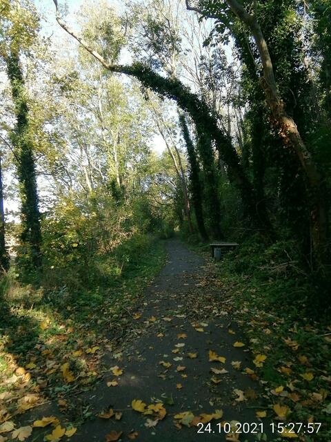 Herbstspaziergang mit O'Brain am 24.10.2021 !