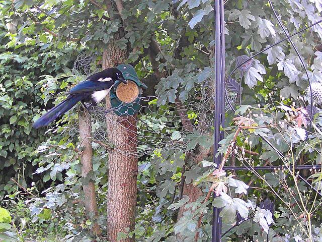 "Schmeckt wirklich toll diese Erdnussbutter und gibt auch ganz viel Kraft!"