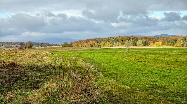 Blick vom Aussichtspunkt Brockensicht, leider war die Fernsicht ungenügend