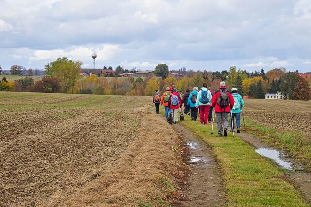 Wandergruppe auf dem Wanderweg deutscher Kaiser und Könige kurz vor Stiege