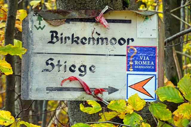 ganz versteckt, der Pilgerweg Via Romea