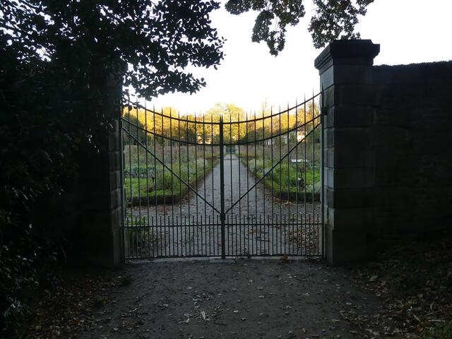 Küchengarten leider zu