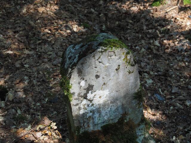 Preussisch/ Hessischer Grenzstein im Talberg bei Wilsbach. Foto: Wolfgang Döhler