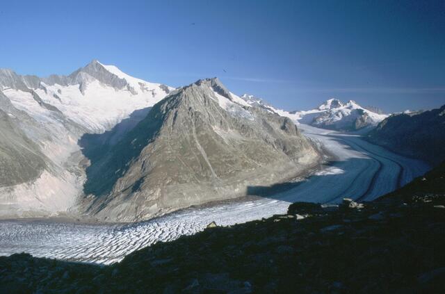 Vom Eggishorn hat man einen eindrucksvollen Blick auf den 22 km langen Gletscherstrom.