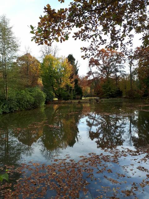Soltau - Breidings Garten - am See