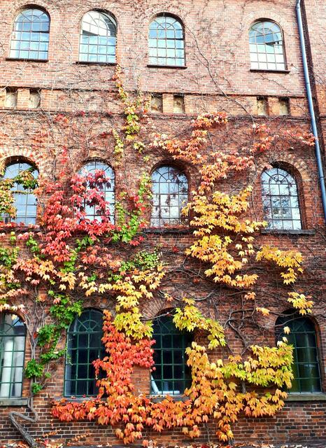 Goldener Herbst in Stadtzentrum
