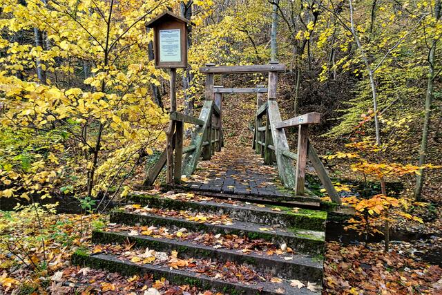 die Selkebrücke an der Lampe