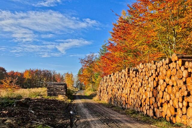 Wanderweg zum 1. Hammer im Herbst