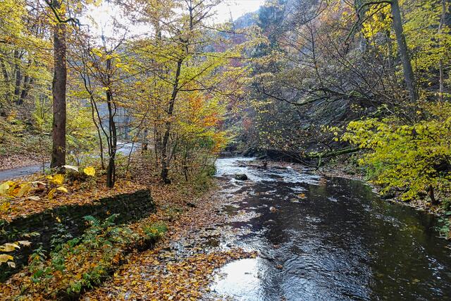 die Selke im Herbst