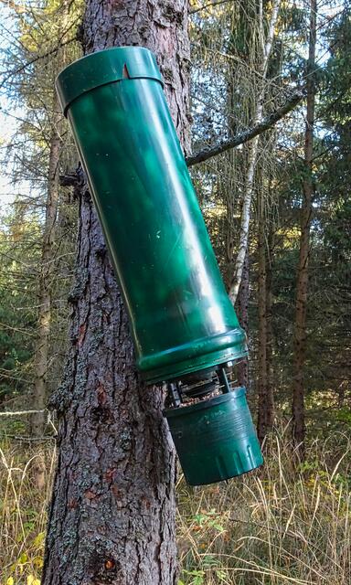 eine riesige Vogel - Futterstelle im Wald