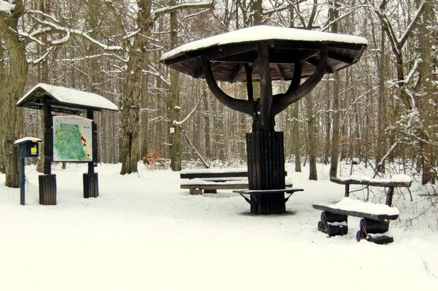 Schirm im Winter (Archivbild)