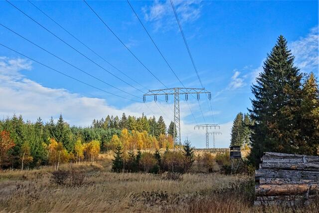 die 110 KV Leitung am Wanderweg