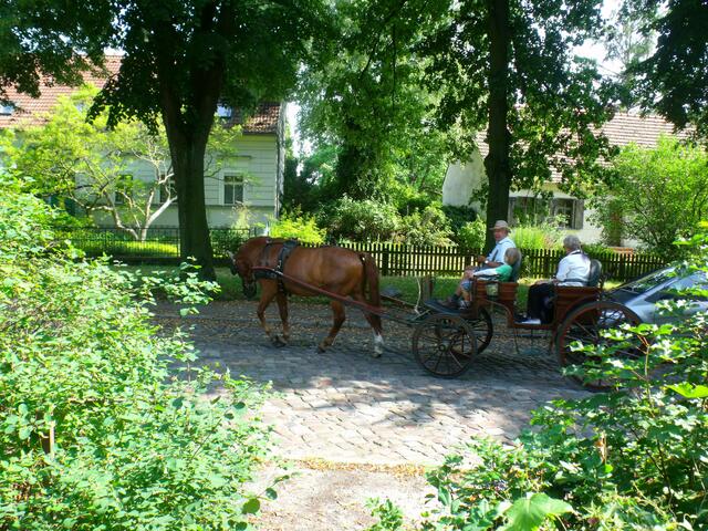Pferdekutsche auf dem Dorfanger