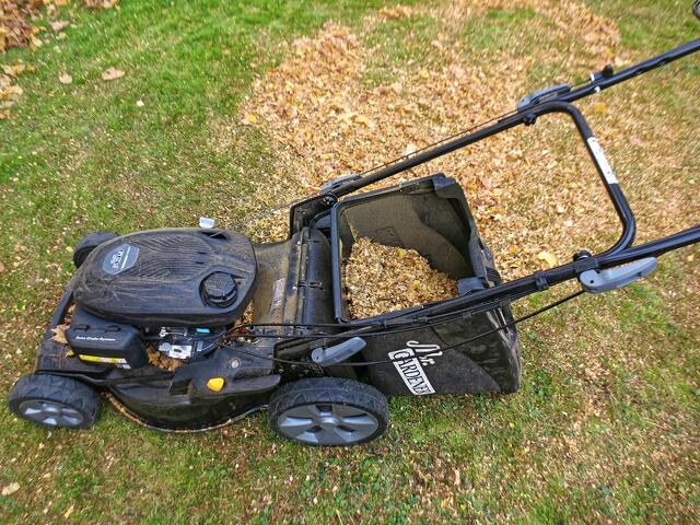 Das nun vom Volumen her stark reduzierte Laub wurde step by step wieder eingesammelt und in Säcke bzw. Sammelbehälter umgefüllt.