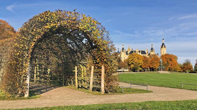 Im Schlossgarten ergeben sich interessante Blickbezüge vom Tunnelgebilde aus Weißbuchen zum Schloss mit dem alten Baumbestand. Foto: Helmut Kuzina
