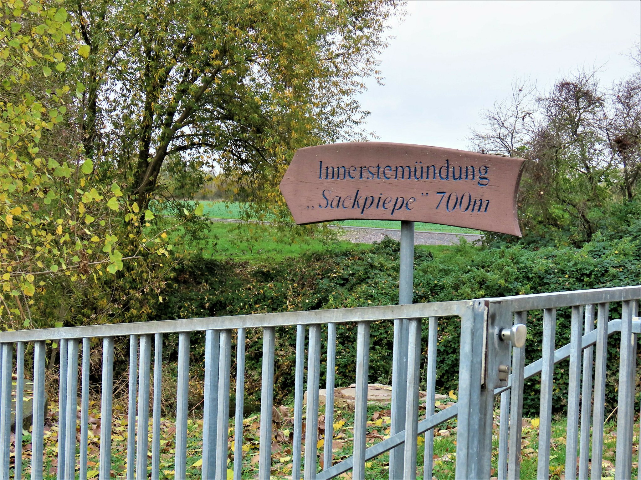 Wo Leine und Innerste sich vereinen. Sarstedt