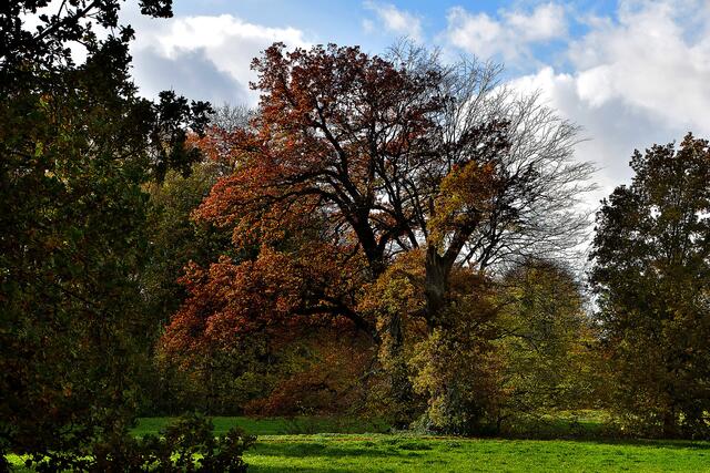Herbst im Hinüberschen Garten