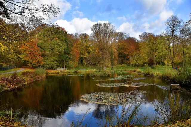 Herbst im Hinüberschen Garten